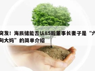突发！海辰储能否认85后董事长妻子是“六旬大妈”的简单介绍