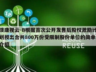 拨康视云-B根据首次公开发售后股权激励计划授出合共800万份受限制股份单位的简单介绍