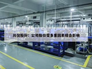 川仪股份：公司股价受多重因素综合影响